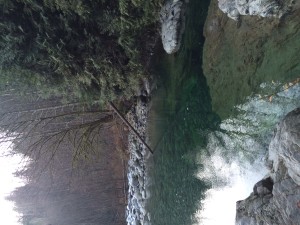 Beautiful clear rock pools 