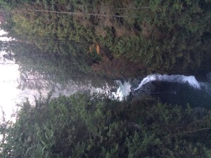 Waterfall in the rainforest