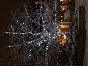 A winter wonderland in Whistler