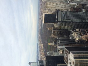 View from Top of the Rock